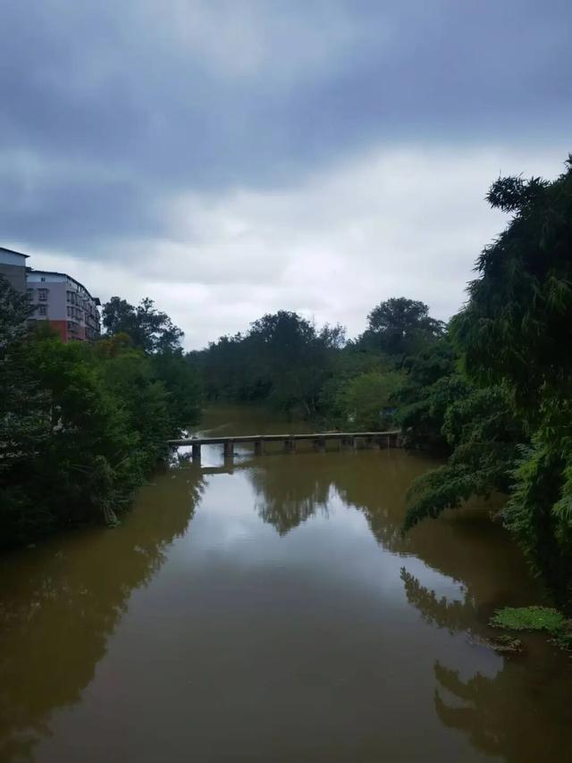 坐标简阳，361岁古桥，202岁石狮，与2分钟起落的飞机