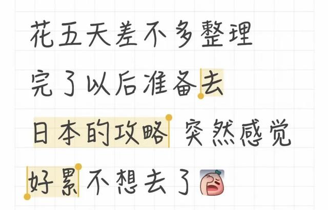 懒得刷攻略，AI上位年轻人“旅行伴侣”