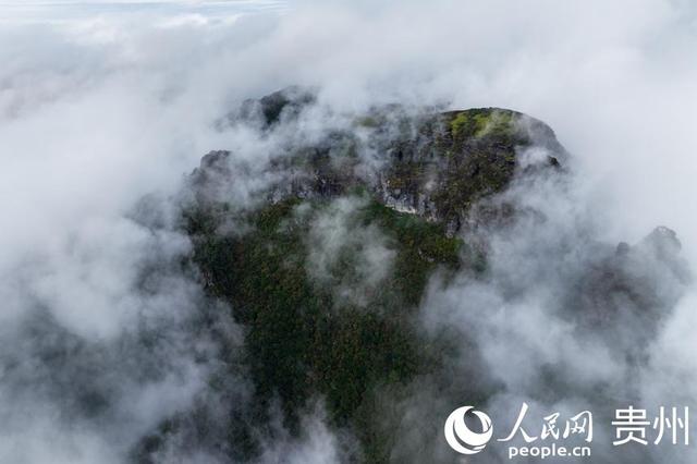 贵州梵净山：雾隐峰峦引客来