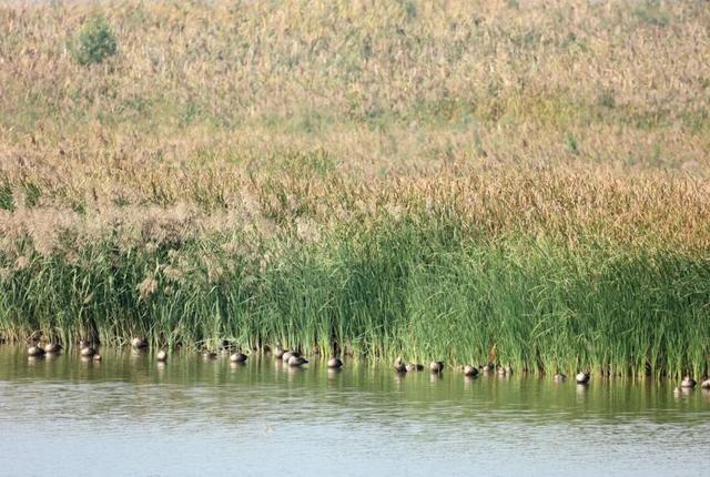 到了到了官方确认：已抵达杭州！