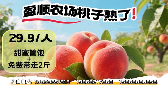 东毛西毛国庆宝藏玩法大公开，解锁田园奇妙日！