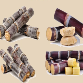 N重惊喜~南湖的周末，无限欢乐！