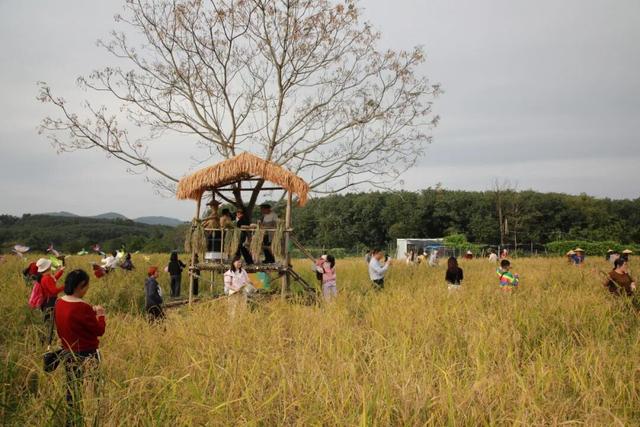 2025年白沙“啦奥门”雨林与您山兰文化活动启幕