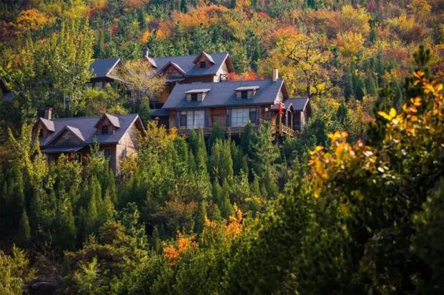 在淄博也能野奢度假！住进这三家山野民宿 成为风景的一部分​……​