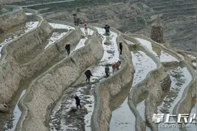 组图丨始祖梯田，茶马古道，走进茶寿生活图片