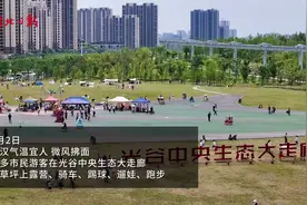 光谷中央生态大走廊成假日休闲好去处图片