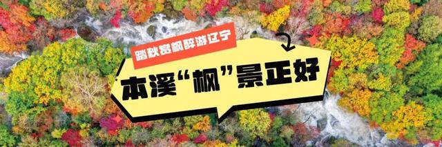 真没P图！辽东的秋天就长这样