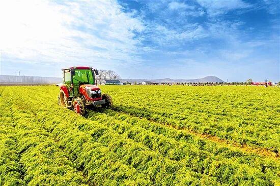 光影中的三门峡（563）