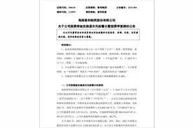 股价大涨超13%！这家A股公司严重造假，将被实施退市风险警示，明日停牌！图片