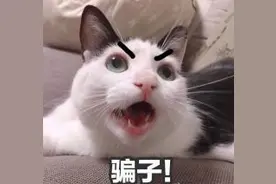 2024年了，还有人在网上修改征信吗？图片