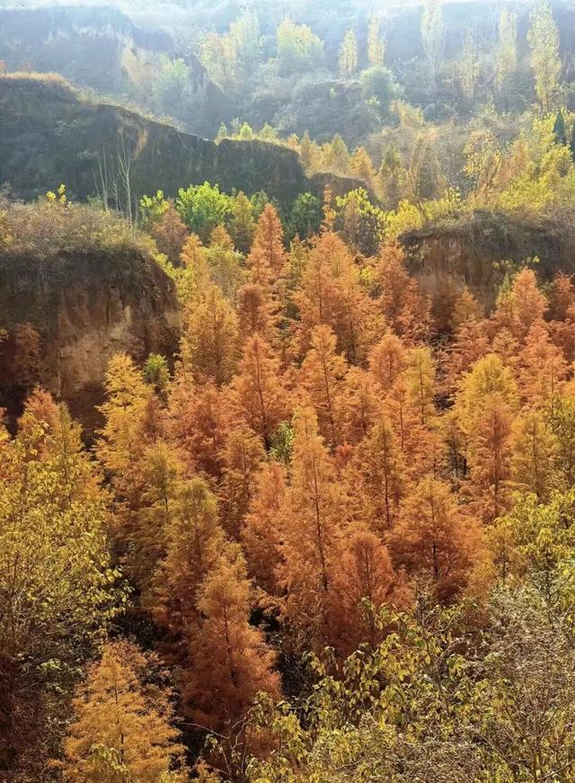 郑州冬天超适合野趣遛娃的6个好去处→