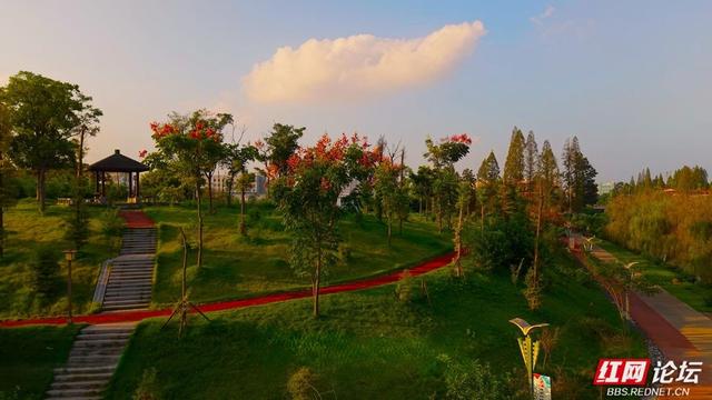 岁暖时刻丨在安乡昌颐健康公园，把生活调成慢档