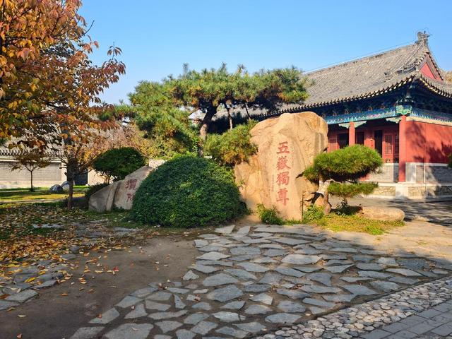 图集丨金秋岱庙美出圈 千年古银杏 “披金” 引客打卡