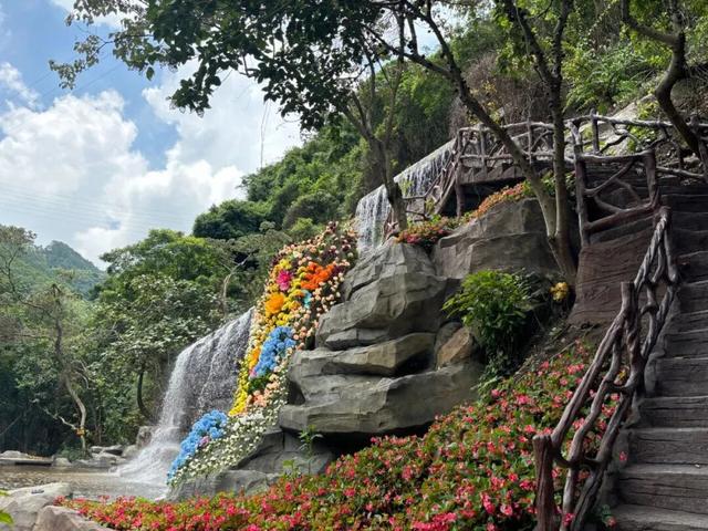 出发！跟着稻马去高明旅行！