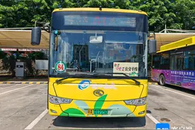 21日起，海口推出3条“适老”、2条“通学”主题公交线路图片