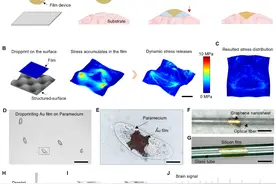 一滴水“贴膜”？中国科学院团队开发薄膜液滴打印技术图片