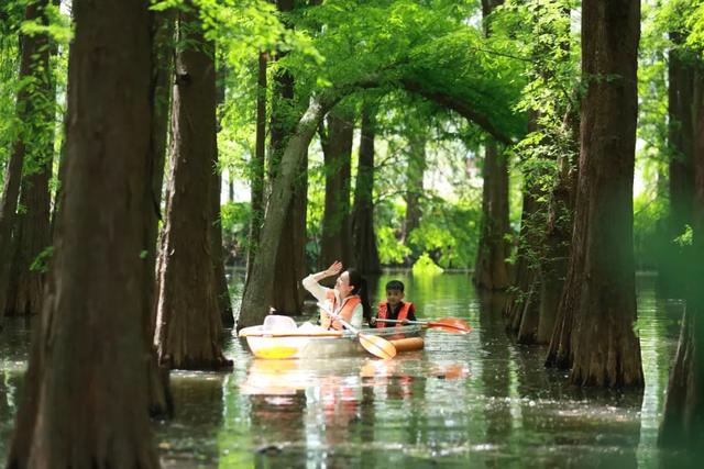 不用出远门！在星湖就能玩遍山、溪、林、岩……