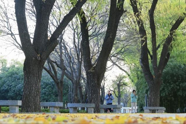 美翻了！邢台达活泉初冬限定“色彩盛宴”