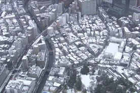 日本发布大雪预警 东京都百余人因滑倒被紧急送医图片
