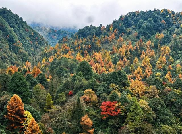 瓦屋山跻身世界旅游名山，“绝壁飞瀑徒步线”获评国际示范线路