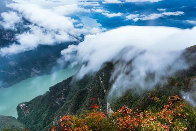 巫峡红透时，才懂中国秋天的壮阔