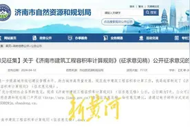 未来家家自带“空中花园”，济南拟出计容新规鼓励开发第四代住宅图片