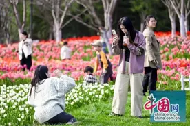 嘉善大云冲刺国旅创建“四季大云”品牌活动启幕图片