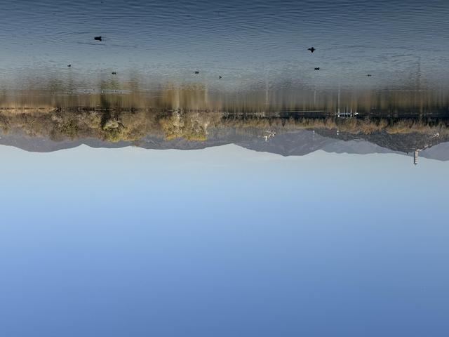 小雪宜出游，颐和园里游人赏初冬美景