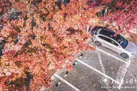 辰山的停车场也可以变成打卡圣地，秘诀是→图片