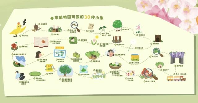 圆锥绣球+硫华菊盛放！植物园双花展上新！