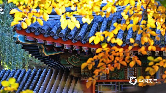 秋到颐和园 藏在皇家园林里的限定美景