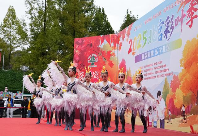 黄叶红花秋色浓，北宫国家森林公园迎来彩叶最佳观赏期