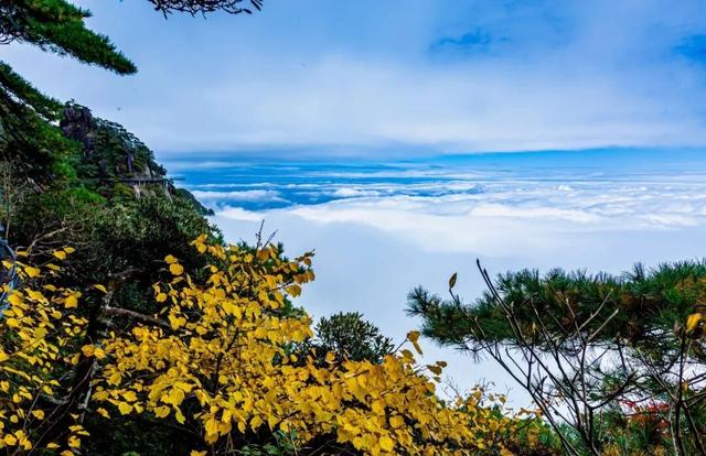 收藏这份江西金色地图，邂逅最绚烂的秋！