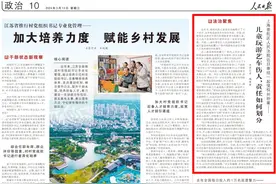儿童玩游艺车伤人，责任如何划分图片