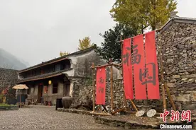 昔日石头房今朝“桃花源” 新业态唤醒浙江乡村图片