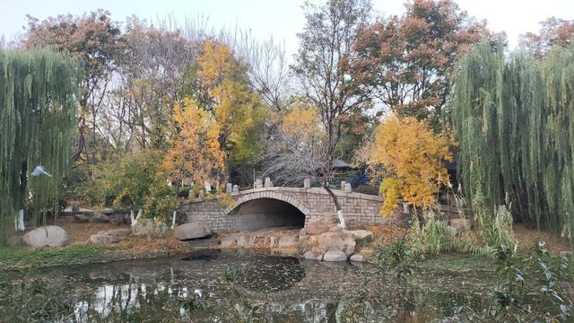 靓丽“秋色”装扮起最美海泊河公园