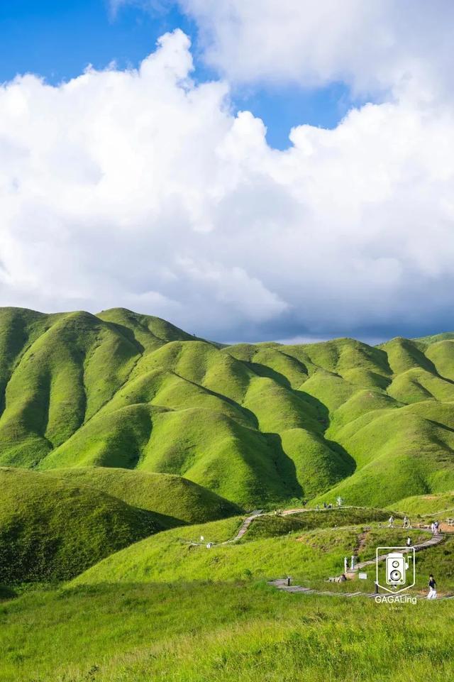 在21℃的连绵绿意里 ，我坐的不是缆车是糖果色的云！周边还藏着一座古镇……