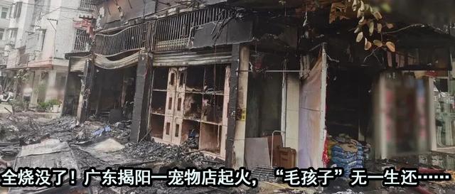 致7死27伤!燕郊地铁项目爆燃事故调查报告公布,76人被问责!