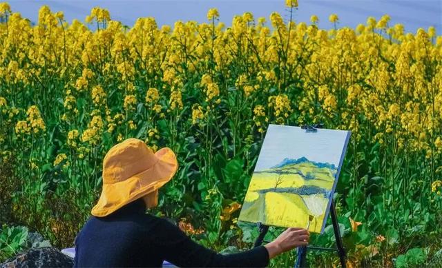 冬暖花开游云南 | 冬游红河，“马”上赏花！