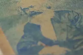 秀我中国丨共和国不会忘记：“真理的味道”非常甜图片