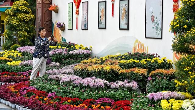 今秋，洛阳九大最美场景等你解锁