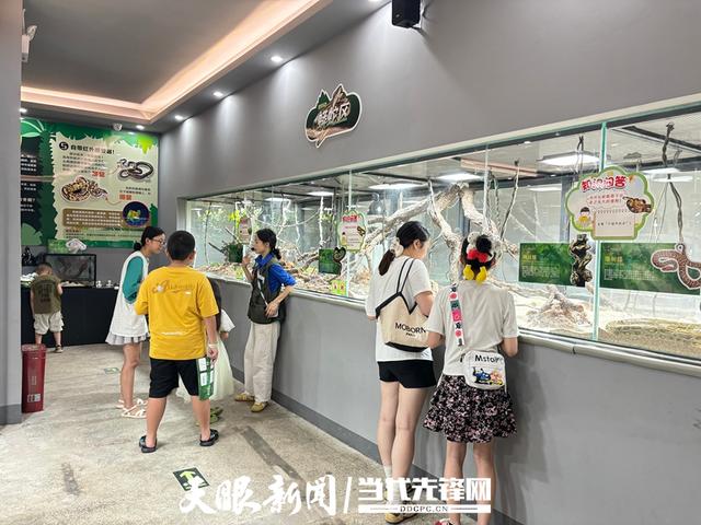 工业遗产如何活化利用？到贵州看红砖墙里的“时光叠影”！