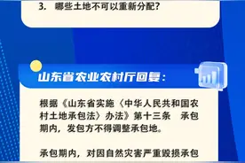 网络问政·问政策｜农村土地怎样调整或承包？图片
