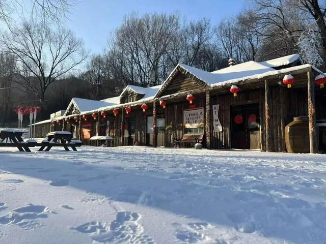 璀璨无比！龙庆峡冰灯今天正式开门迎客 | 周末京郊微度假