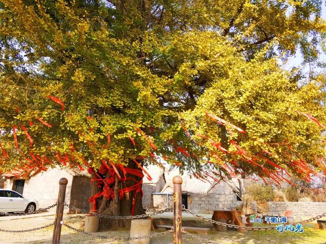 出发！抓住秋天的尾巴威海『拾秋地图』上新啦