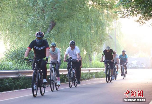 沧县大运河畔堤顶路：独具特色的绿色生态廊道