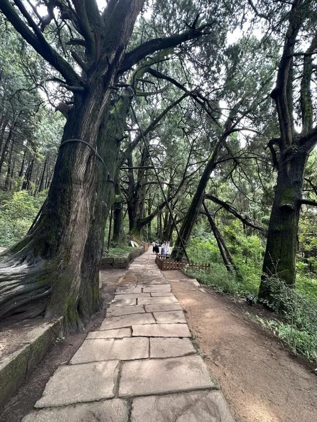 四川文物主题游径怎么建？“保姆级”指南来了