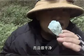 博主称山取团队擅闯哀牢山摆拍图片