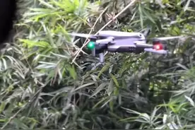 张某某（男，19岁），终身禁入！图片