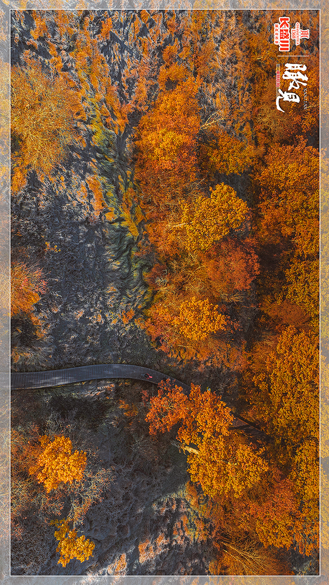 【瞰见】神农架：让心灵与自然共鸣